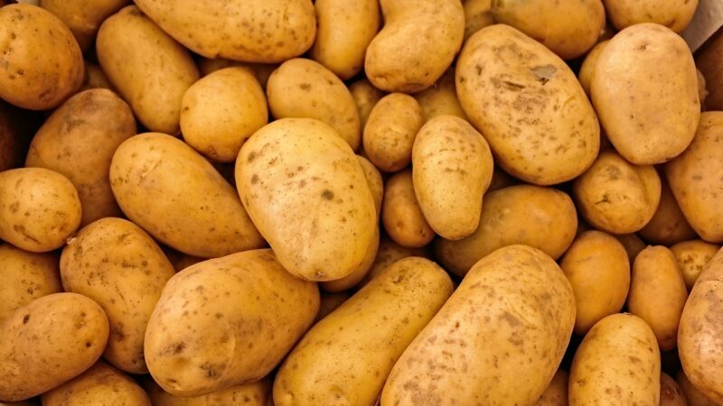 Sajenje krompirja: najpogostejše napake in nasveti za uspešno gojenje